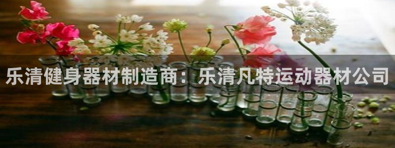 意昂体育3平台假的吗是真的吗吗：乐清健身器材制造商：